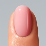 Color Gel Disguise Collection C