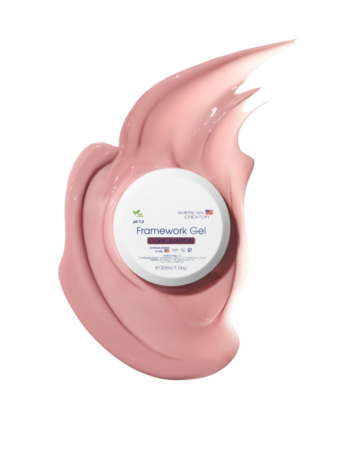 Framework gel CONCILIATION