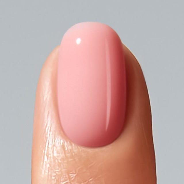 Color Gel Disguise Collection B
